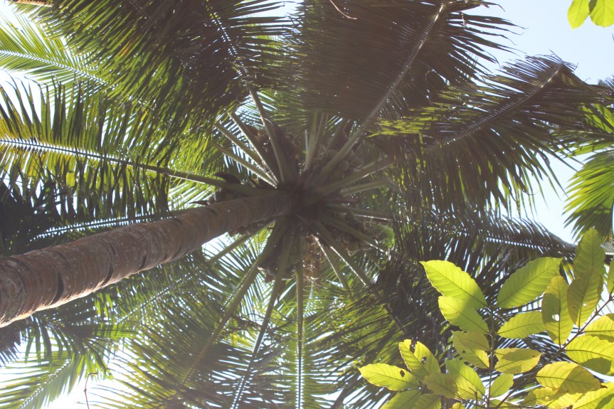 Monday Challenge: Beguiling&nbsp;Poetry